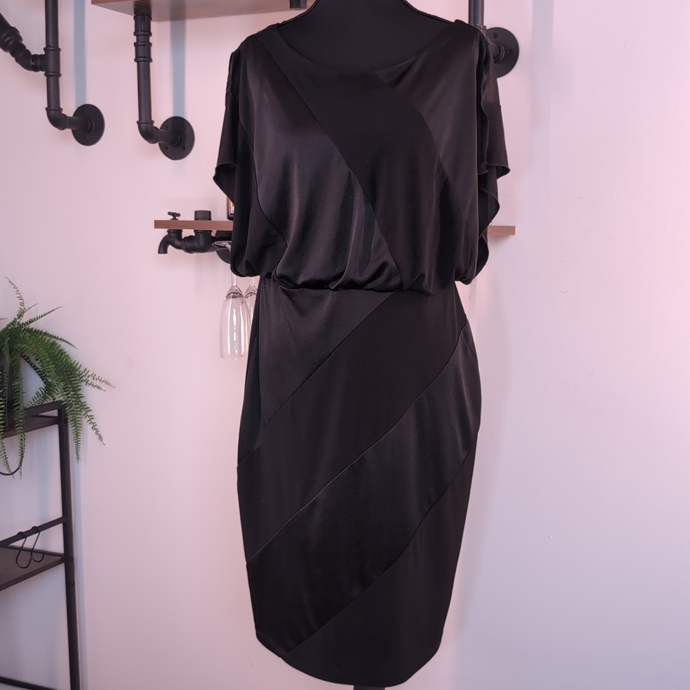 Sleek EnFocus Studio Diagonal Paneled Sheath in Black. Perfect for Office Siren